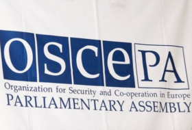 Карабахский вопрос будет обсужден на сессии ПА ОБСЕ в Тбилиси